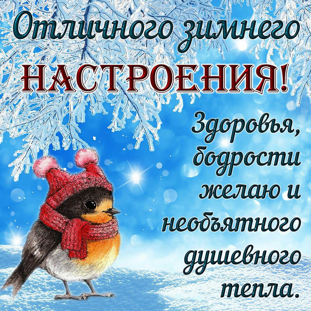 Хорошего зимнего дня и отличного настроения Хорошего зимнего дня и отличного настроения