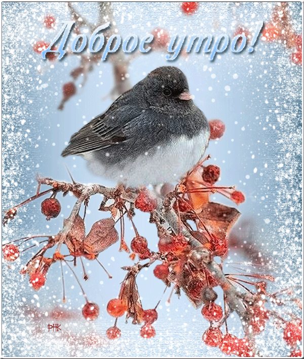 Зимние поздравления с добрым утром Зимние поздравления с добрым утром