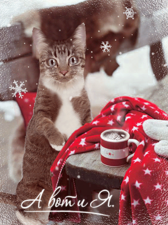 Доброе Снежное утро новогодние картинки Доброе Снежное утро новогодние картинки