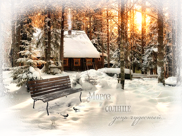 Доброго солнечного зимнего дня Доброго солнечного зимнего дня