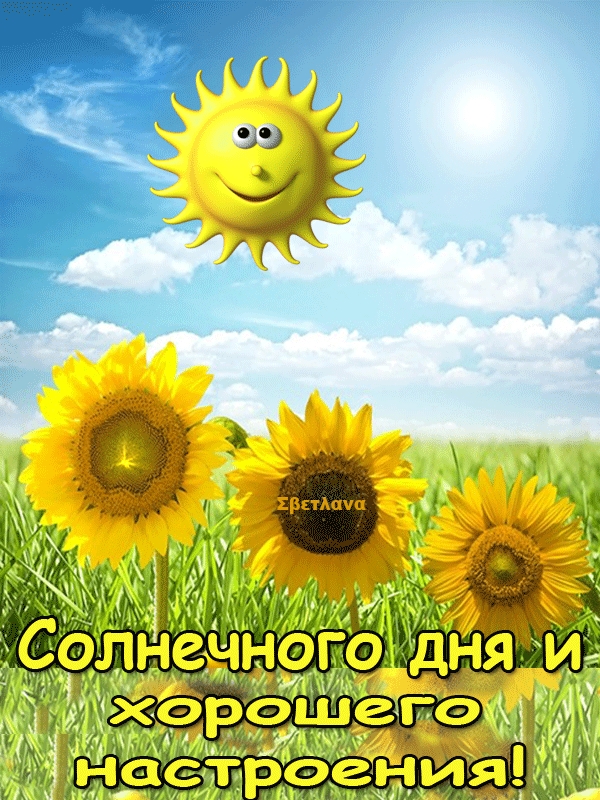 Солнечного дня и хорошего настроения - картинки.