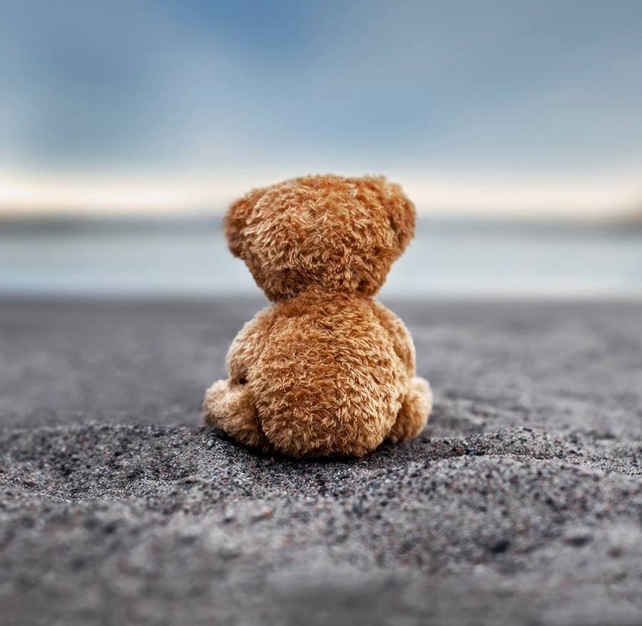 Фото Игрушечный медведь сидит на фоне неба, Грустный мишка, Одинокий мишка