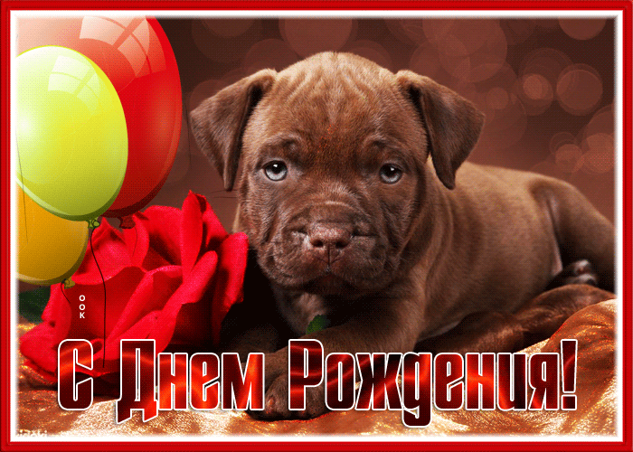 Прекрасная открытка с днём рождения мужчине с собакой! Прекрасная открытка с днём рождения мужчине с собакой!