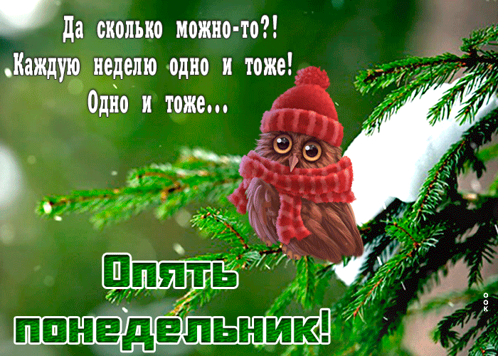 Милая зимняя картинка с добрым утром понедельника! Милая зимняя картинка с добрым утром понедельника!