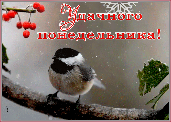 Картинка с добрым утром, удачного зимнего понедельника Картинка с добрым утром, удачного зимнего понедельника