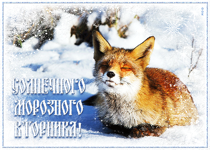 Утренняя Открытка солнечного морозного вторника Утренняя Открытка солнечного морозного вторника