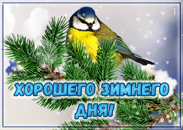 Новая мерцающая Открытка с пожеланием хорошего зимнего дня Новая мерцающая Открытка с пожеланием хорошего зимнего дня