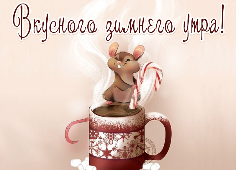 оздравление с добрым утром женщине.