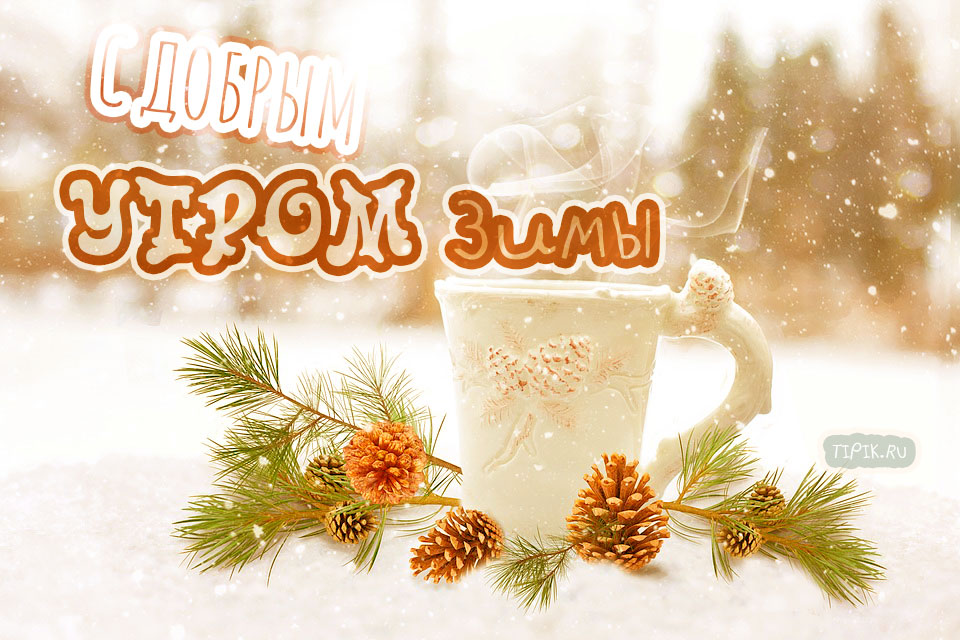 Доброе утро картинки - зимние, красивые, новые и необычные!