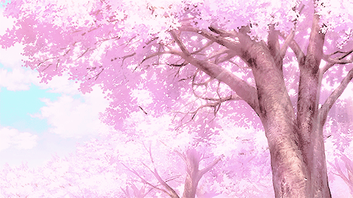 Сакура двигающийся фон, Гифка аниме Сакура