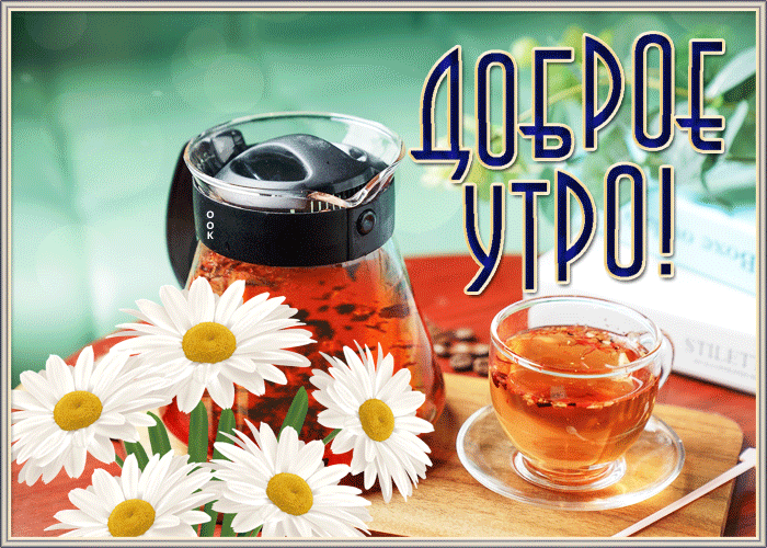 Утро доброе новые картинки креативные с надписями гифки