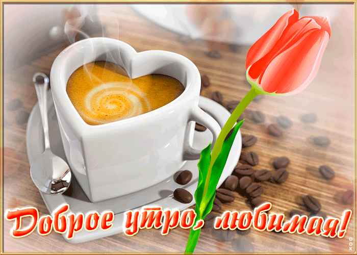 Красивая Открытка с добрым утром любимой женщине с тюльпаном и кофе!