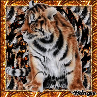 Тигренок Амурский анимация Тигренок Амурский анимация