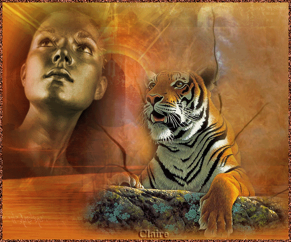 Гифки с тиграми любовь Гифки с тиграми любовь