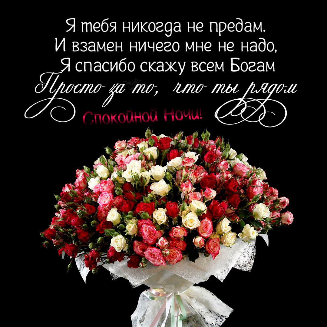 Я тебя никогда не предам. И взамен ничего мне не надо, я спасибо скажу всем Богам просто за то , что ты рядом, Спокойной ночи!