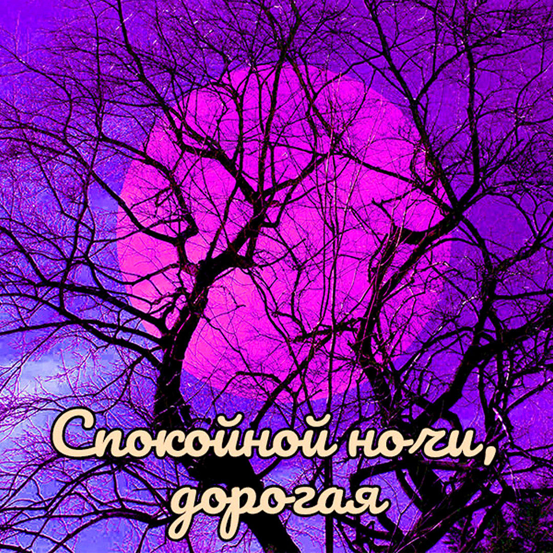 Картинка спокойной ночи, дорогая!