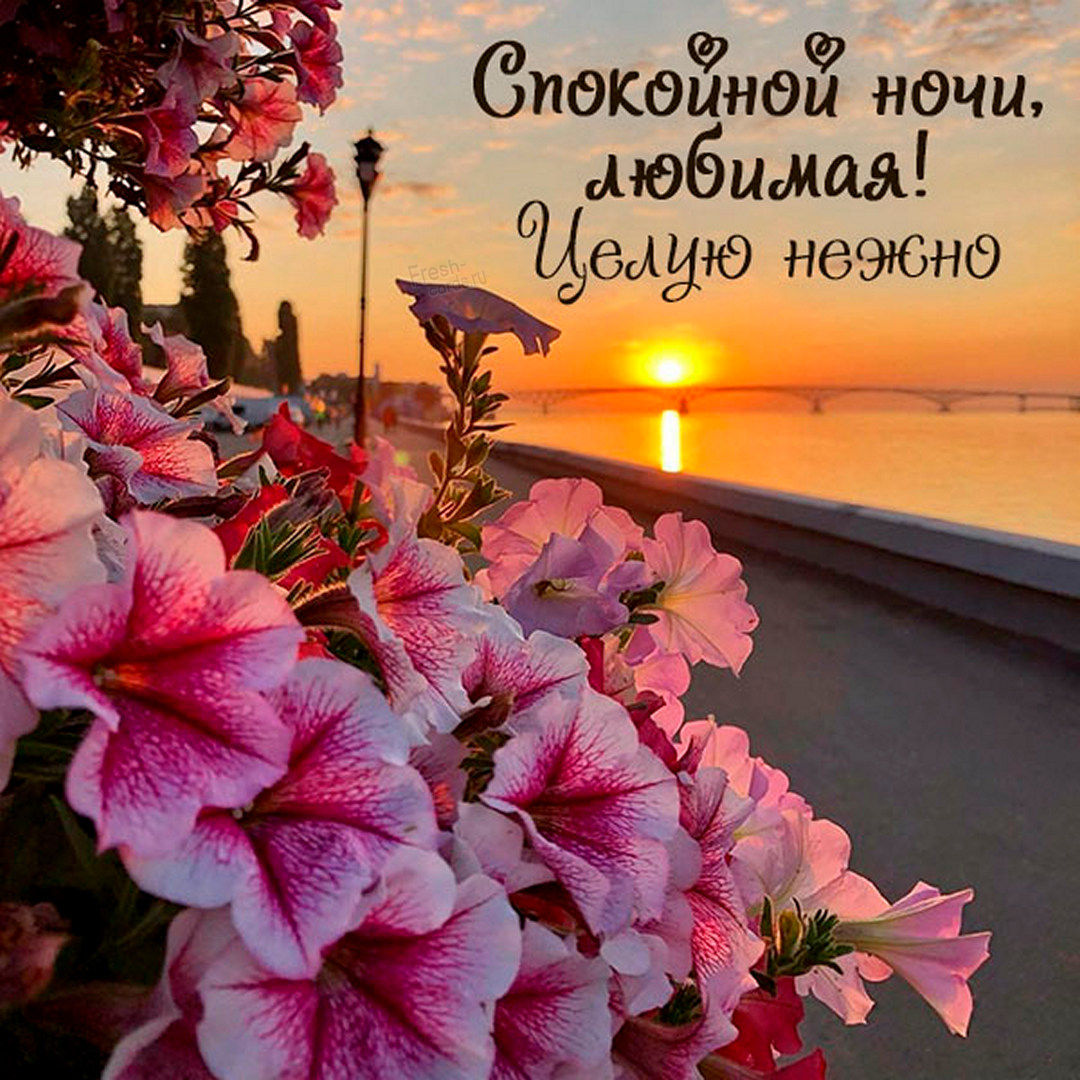 Пожеланием спокойной ночи, любимая целую нежно! красивая картинка с закатом...