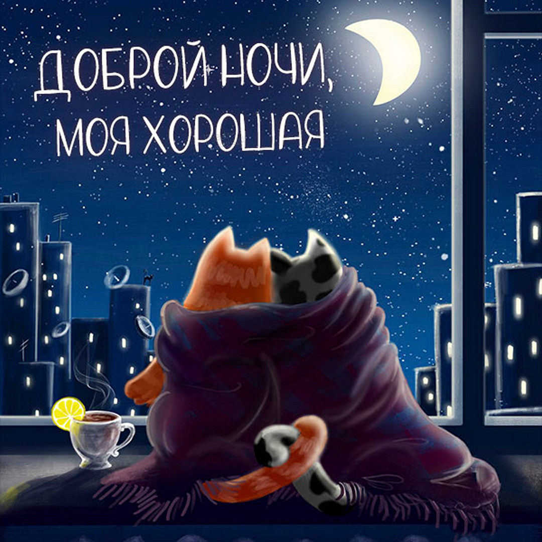 Доброй ночи, моя хорошая! Милая картинка с кошечками.
