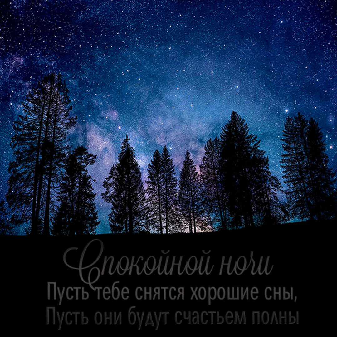 Спокойной ночи пусть тебе снятся хорошие сны, пусть они будут счастьем полны!