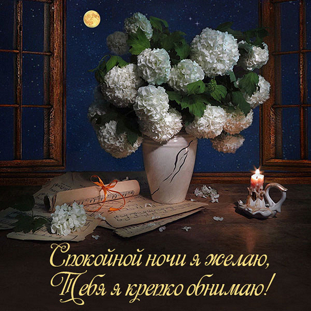 Спокойной ночи я желаю, тебя я крепко обнимаю!