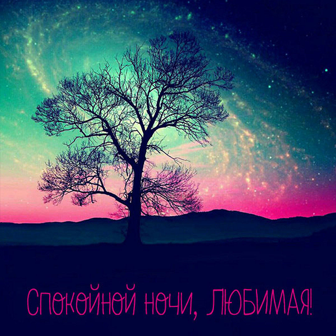 Невероятно красивая открытка с пожеланием спокойной ночи, любимой!