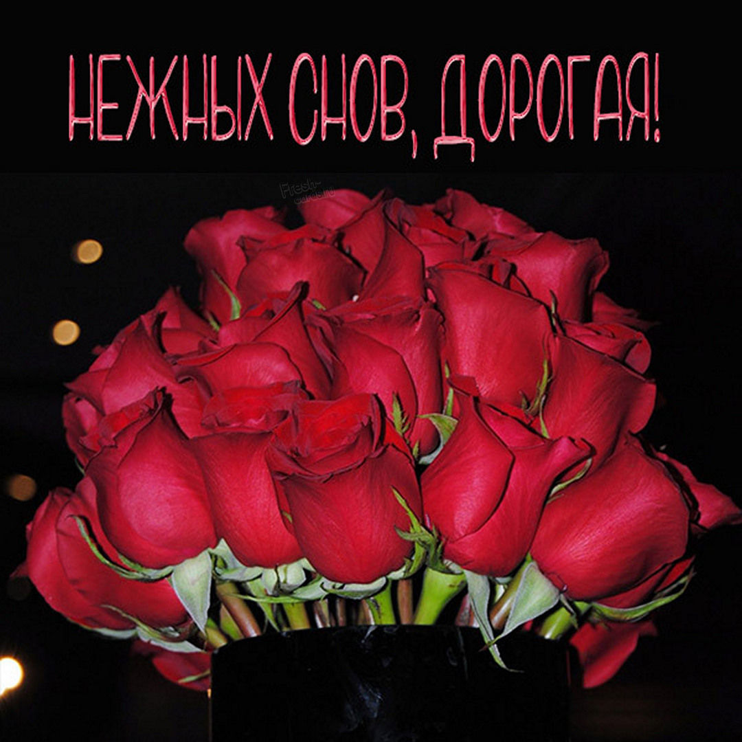 Открытка с букетом красных роз и пожеланием нежных снов, дорогая!