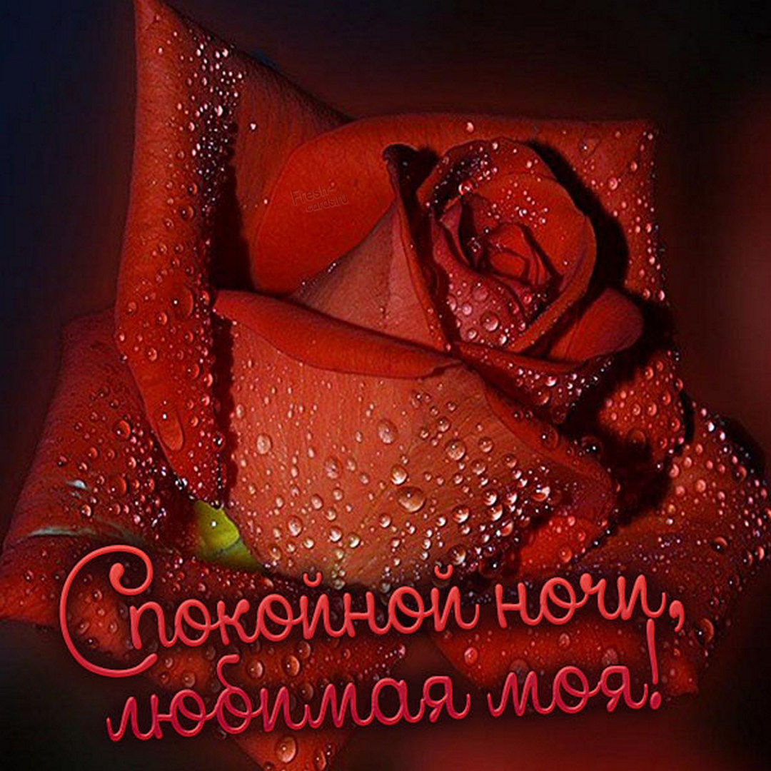 Спокойной ночи, любимая моя!