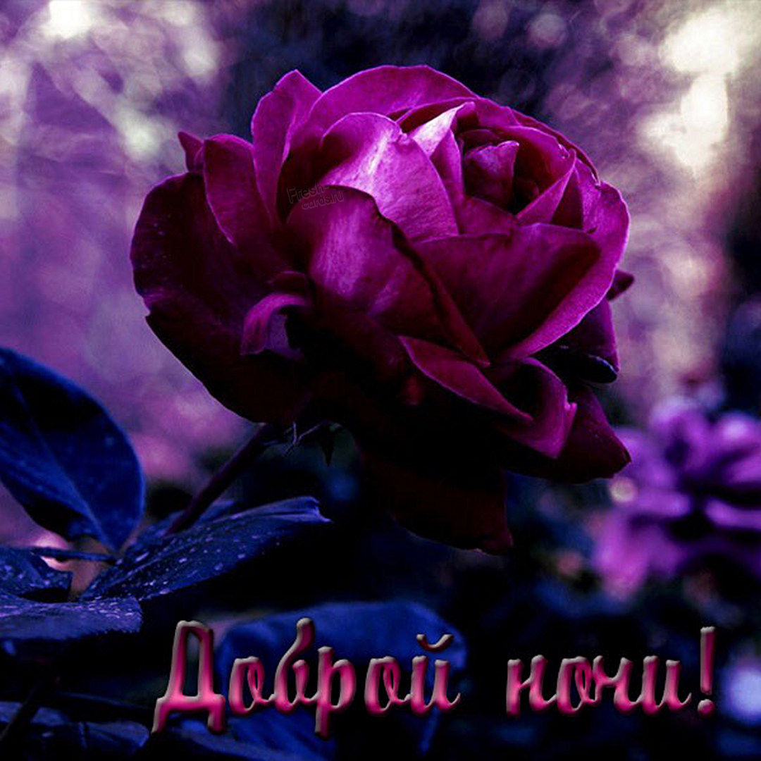 Крутая арт картинка доброй ночи любимая!