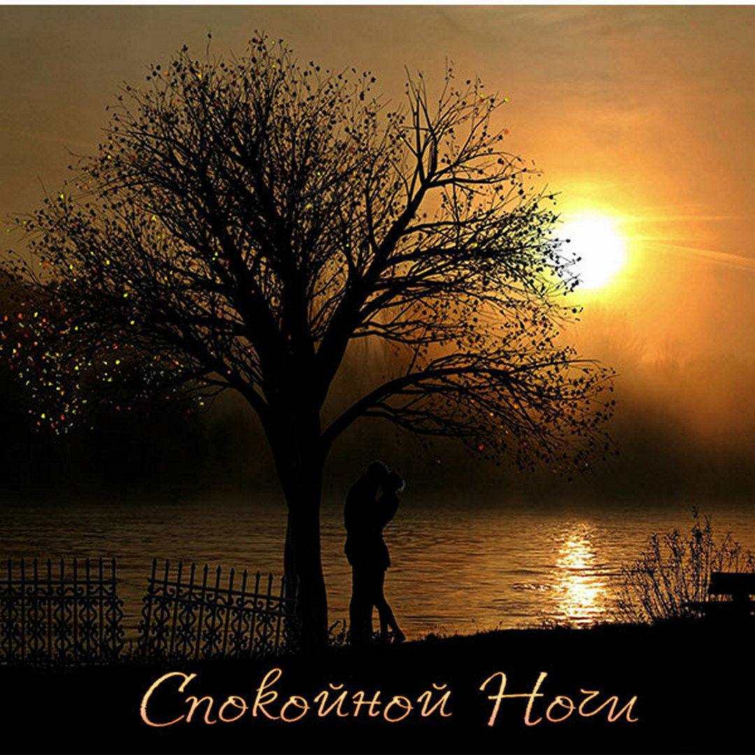 Романтическая открытка на ночь любимой женщине!