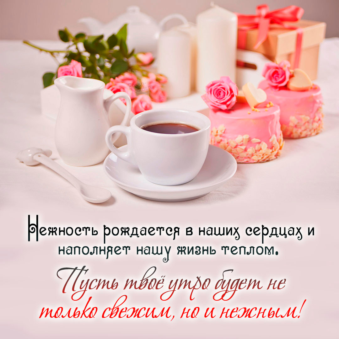 Картинка нежность рождается в наших сердцах и наполняет нашу жизнь теплом. Пусть твоё утро будет не только свежим, но и нежным! Картинка нежность рождается в наших сердцах и наполняет нашу жизнь теплом. Пусть твоё утро будет не только свежим, но и нежным!