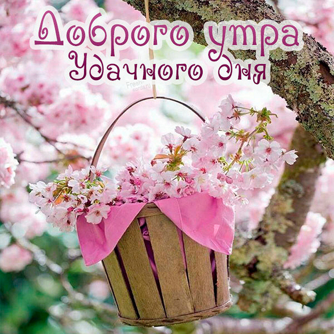 Милая открытка для девушки доброго утра и удачного дня! Милая открытка для девушки доброго утра и удачного дня!