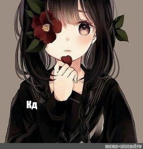 Хостинг картинок yapx.ru