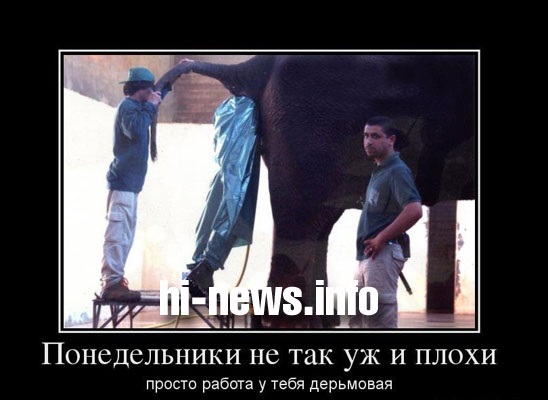 Хостинг картинок yapx.ru