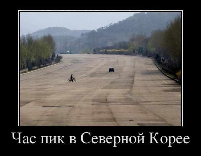 Хостинг картинок yapx.ru