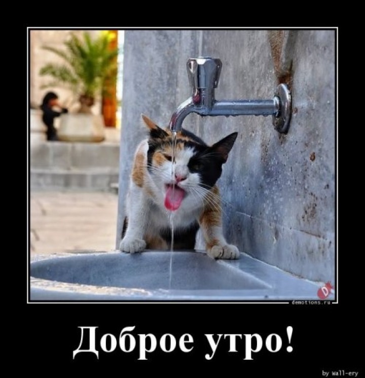 Хостинг картинок yapx.ru