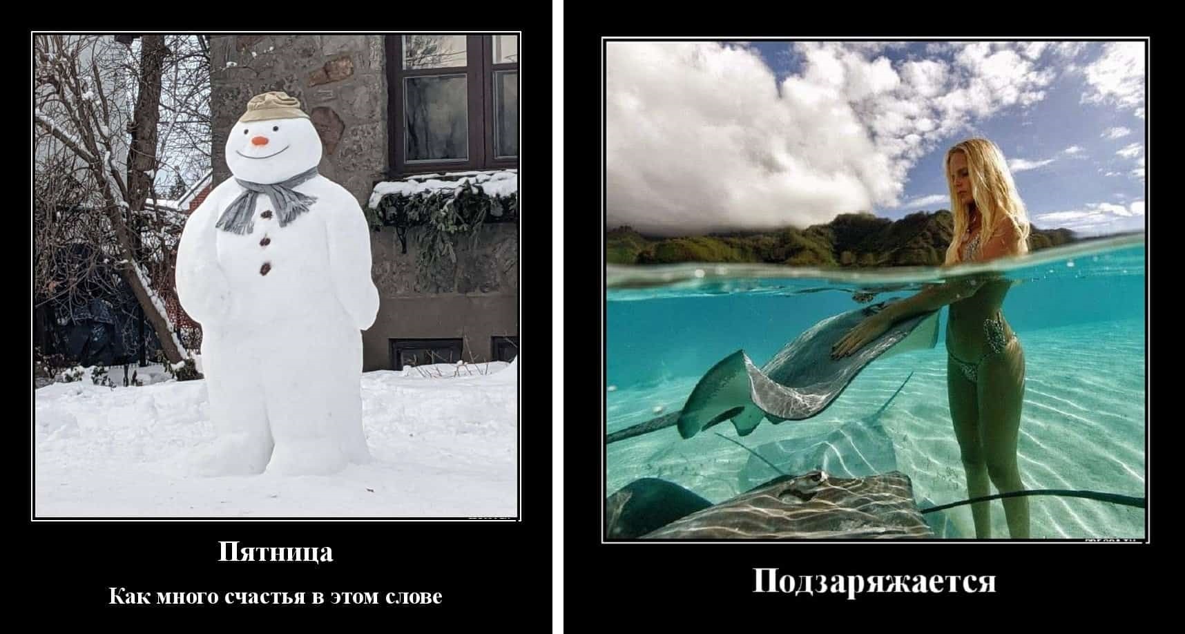 Хостинг картинок yapx.ru