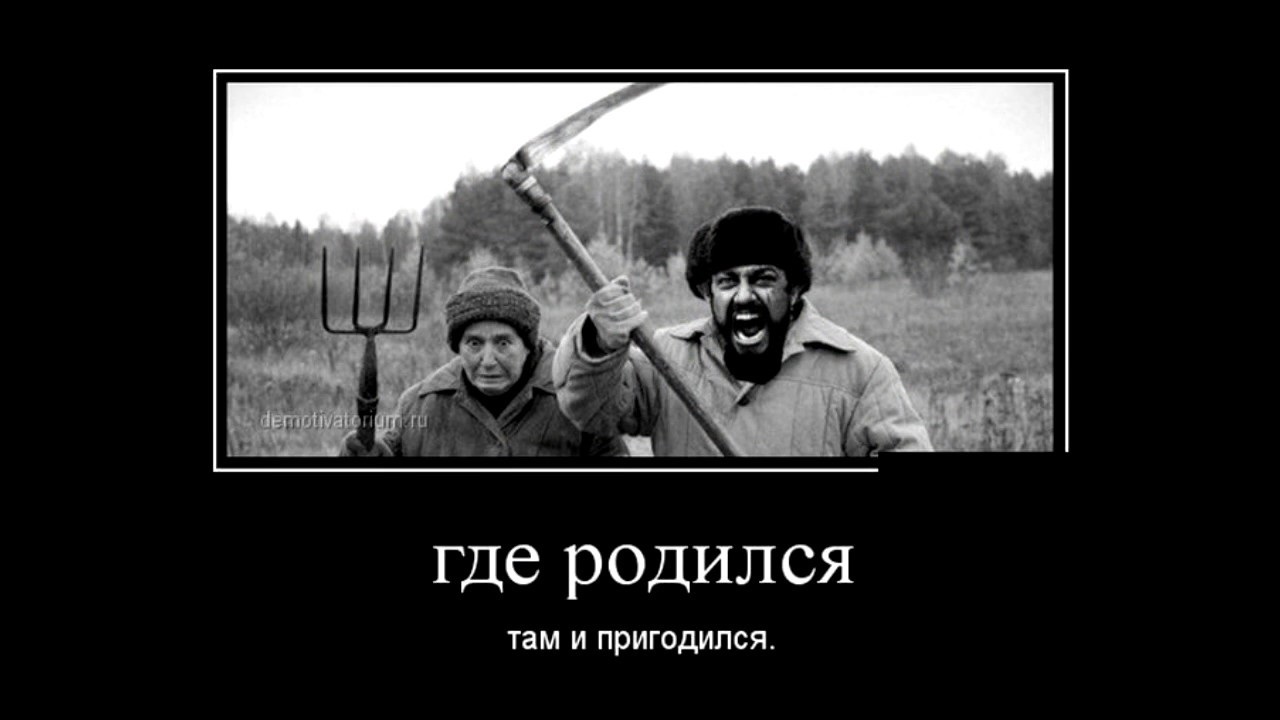 Хостинг картинок yapx.ru