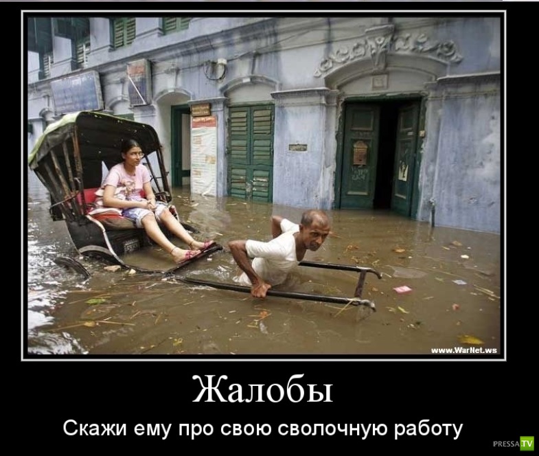 Хостинг картинок yapx.ru