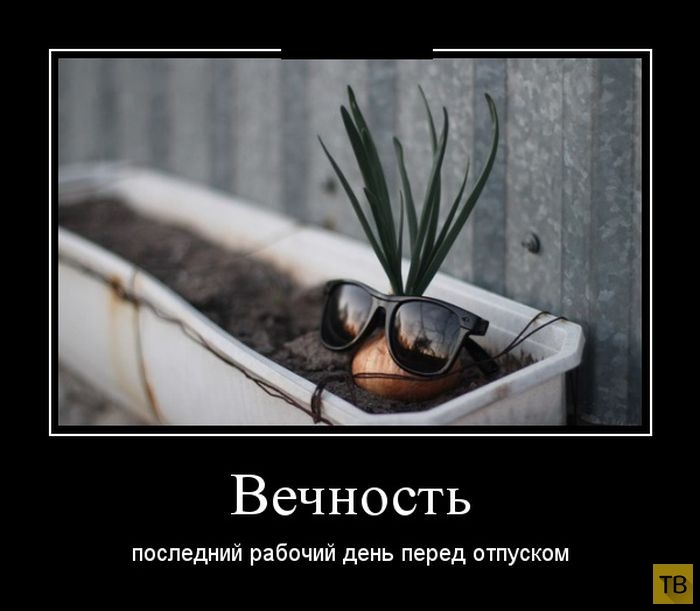 Хостинг картинок yapx.ru