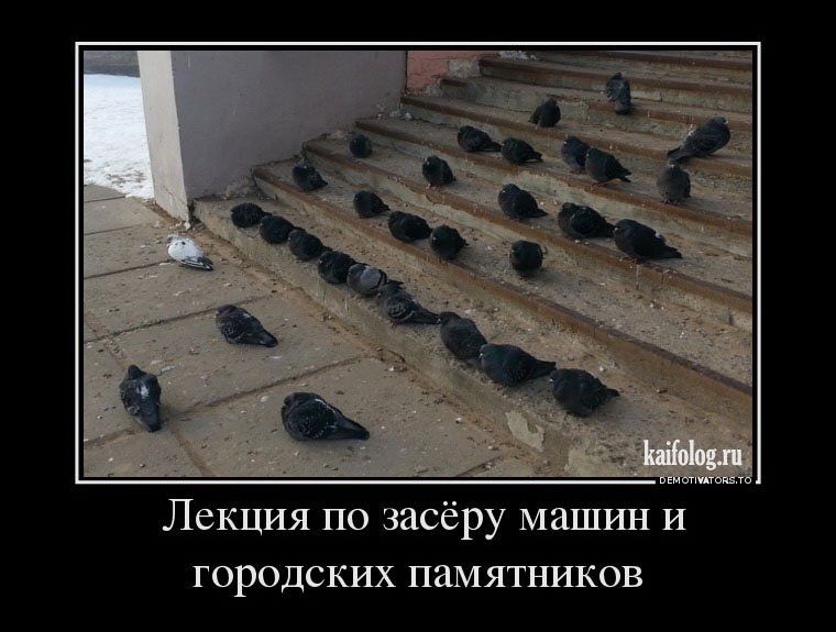 Хостинг картинок yapx.ru