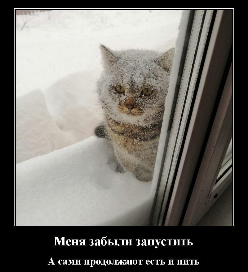 Хостинг картинок yapx.ru