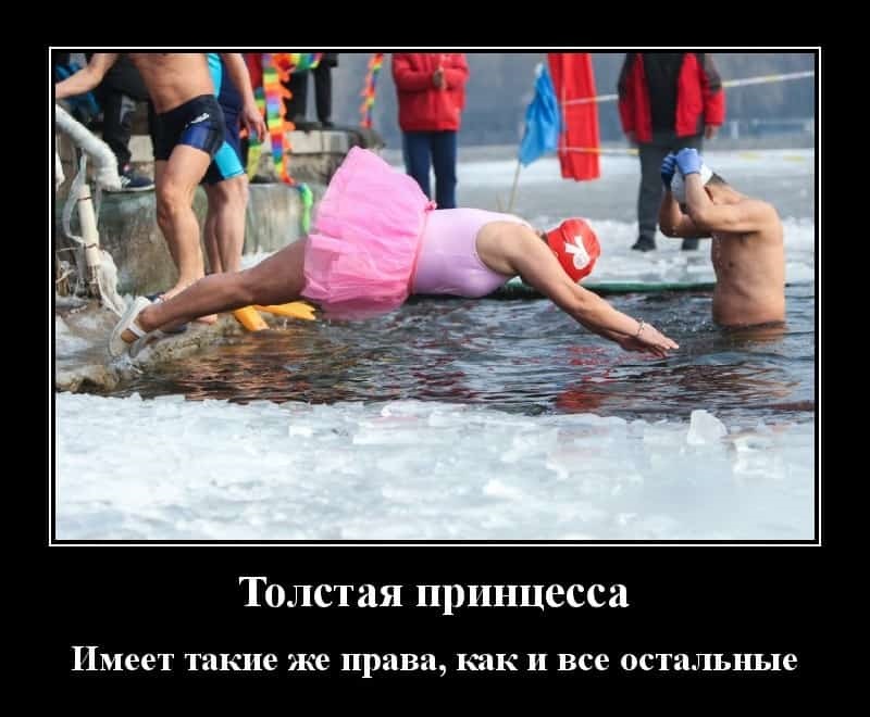 Хостинг картинок yapx.ru