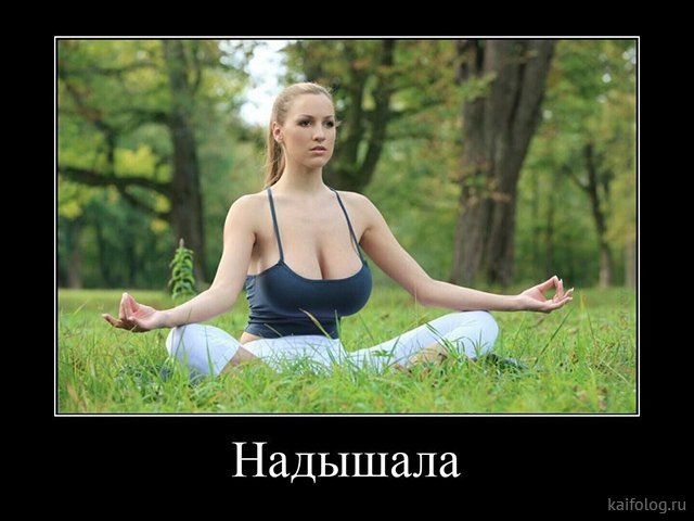 Хостинг картинок yapx.ru