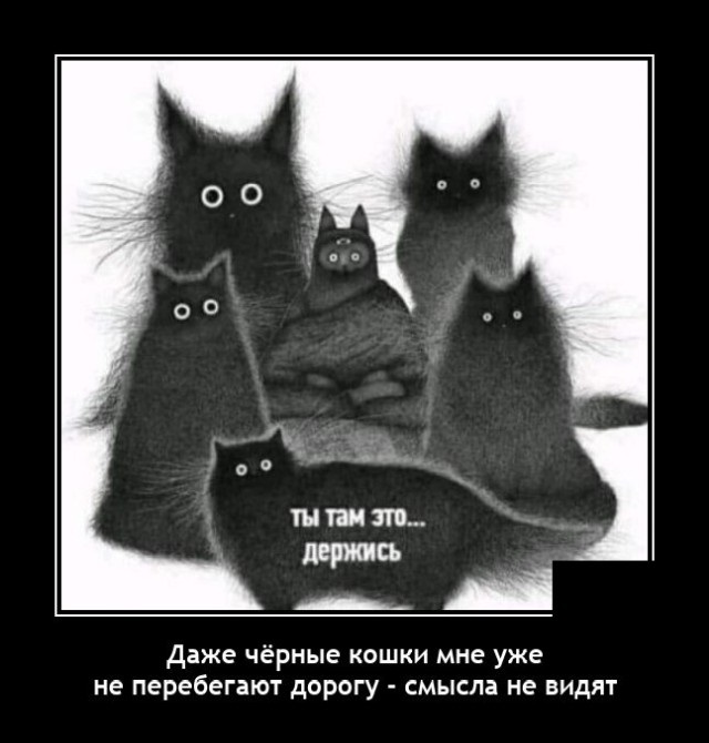 Хостинг картинок yapx.ru