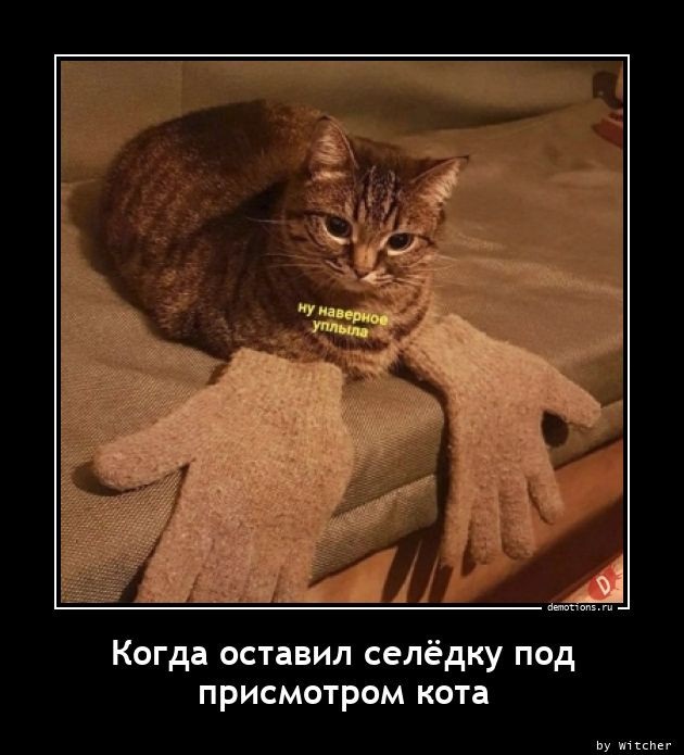 Хостинг картинок yapx.ru