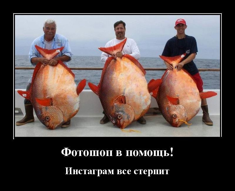 Хостинг картинок yapx.ru