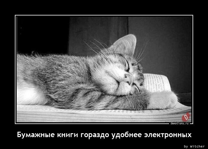 Хостинг картинок yapx.ru