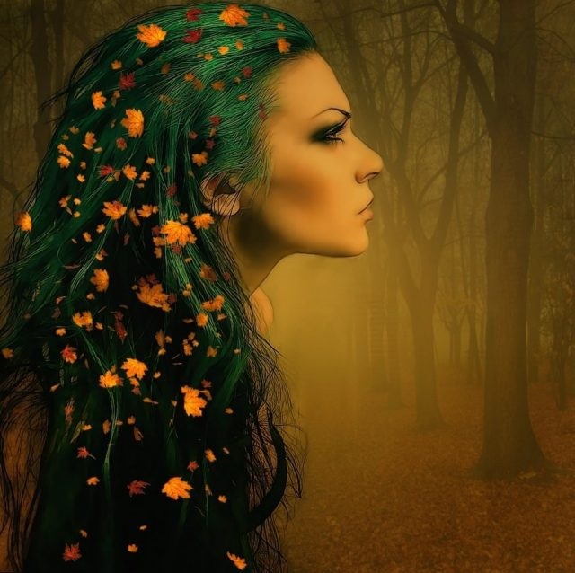 Хостинг картинок yapx.ru