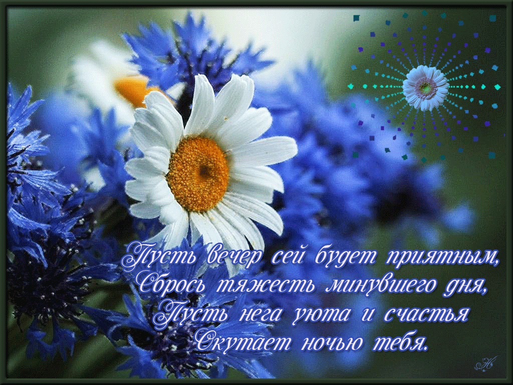 Добрый весенний вечер