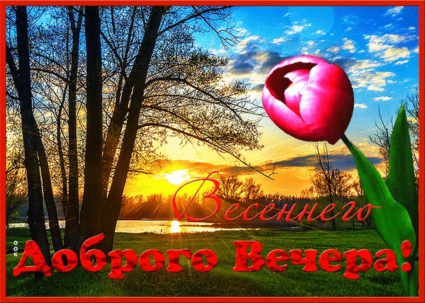 Уютного весеннего вечера.